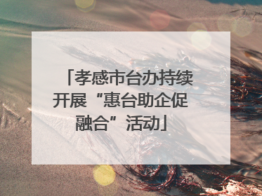 孝感市台办持续开展“惠台助企促融合”活动