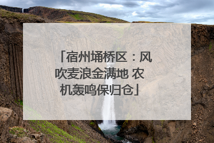 宿州埇桥区：风吹麦浪金满地 农机轰鸣保归仓