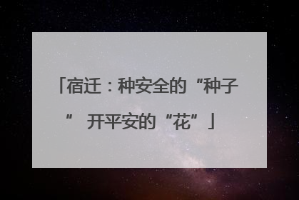 宿迁：种安全的“种子” 开平安的“花”