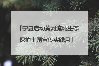 宁夏启动黄河流域生态保护主题宣传实践月