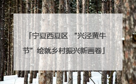 宁夏西夏区 “兴泾黄牛节”绘就乡村振兴新画卷