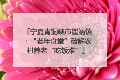 宁夏青铜峡市瞿靖镇：“老年食堂”破解农村养老“吃饭难”