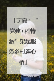 宁夏：“党建+科特派”架起服务乡村连心桥