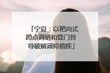 宁夏：以靶向式蹲点调研和登门督导破解顽瘴痼疾