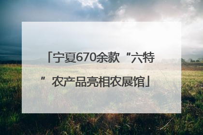 宁夏670余款“六特”农产品亮相农展馆
