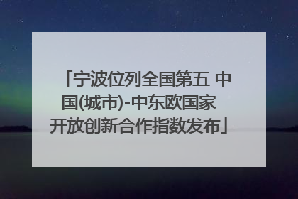 宁波位列全国第五 中国(城市)-中东欧国家开放创新合作指数发布