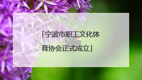 宁波市职工文化体育协会正式成立