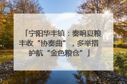 宁阳华丰镇：奏响夏粮丰收“协奏曲”，多举措护航“金色粮仓”