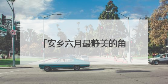 安乡六月最静美的角落，睡莲怡然自开