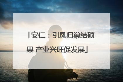 安仁：引凤归巢结硕果 产业兴旺促发展