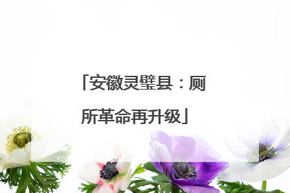 安徽灵璧县：厕所革命再升级
