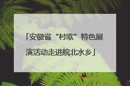 安徽省“村歌”特色展演活动走进皖北水乡