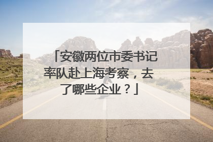 安徽两位市委书记率队赴上海考察，去了哪些企业？