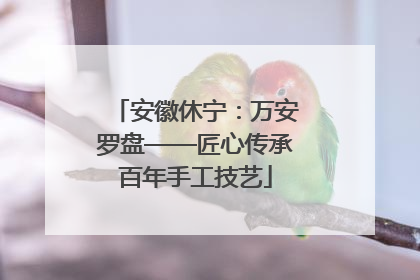 安徽休宁：万安罗盘——匠心传承百年手工技艺
