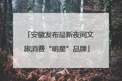 安徽发布最新夜间文旅消费“明星”品牌