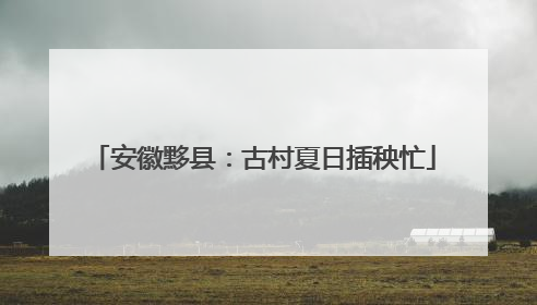安徽黟县：古村夏日插秧忙