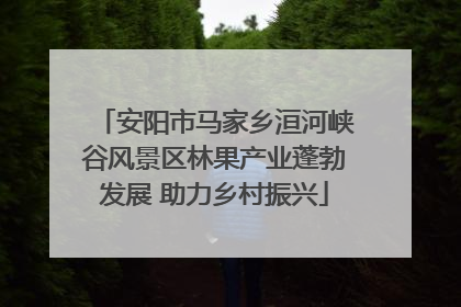 安阳市马家乡洹河峡谷风景区林果产业蓬勃发展 助力乡村振兴