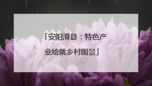 安阳滑县：特色产业绘就乡村图景