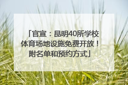 官宣：昆明40所学校体育场地设施免费开放！附名单和预约方式