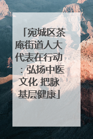 宛城区茶庵街道人大代表在行动：弘扬中医文化 把脉基层健康