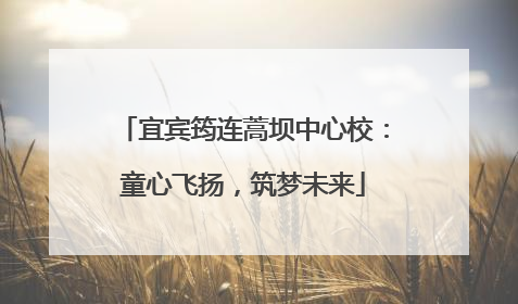 宜宾筠连蒿坝中心校：童心飞扬，筑梦未来