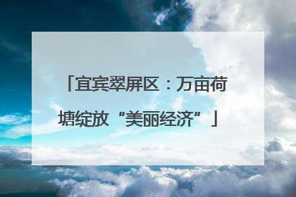 宜宾翠屏区：万亩荷塘绽放“美丽经济”
