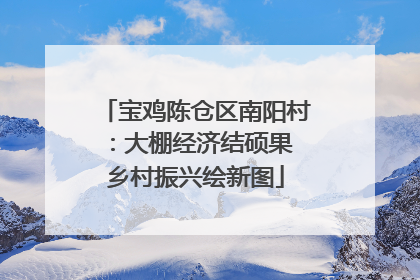 宝鸡陈仓区南阳村：大棚经济结硕果 乡村振兴绘新图