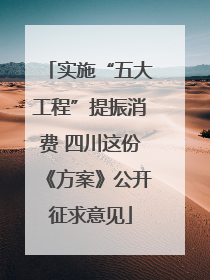 实施“五大工程”提振消费 四川这份《方案》公开征求意见