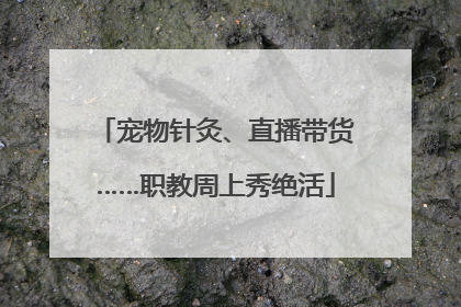 宠物针灸、直播带货……职教周上秀绝活