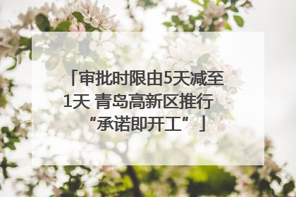审批时限由5天减至1天 青岛高新区推行“承诺即开工”