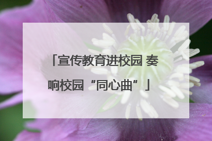 宣传教育进校园 奏响校园“同心曲”
