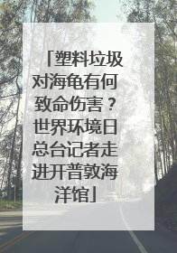 塑料垃圾对海龟有何致命伤害？世界环境日总台记者走进开普敦海洋馆