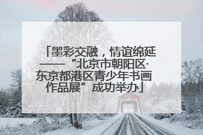 墨彩交融，情谊绵延——“北京市朝阳区·东京都港区青少年书画作品展”成功举办