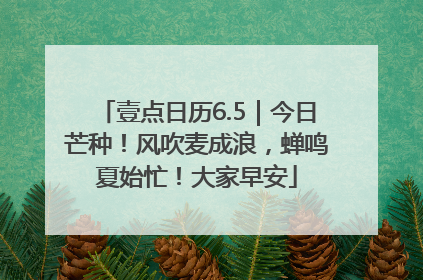 壹点日历6.5｜今日芒种！风吹麦成浪，蝉鸣夏始忙！大家早安