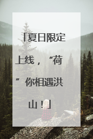 夏日限定上线，“荷”你相遇洪山！