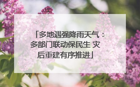 多地遇强降雨天气：多部门联动保民生 灾后重建有序推进