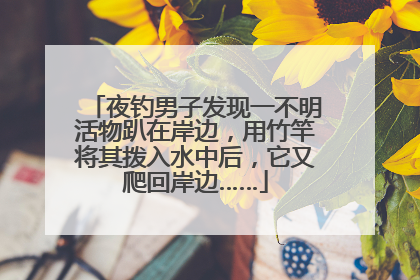 夜钓男子发现一不明活物趴在岸边，用竹竿将其拨入水中后，它又爬回岸边……