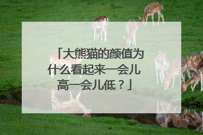 大熊猫的颜值为什么看起来一会儿高一会儿低？
