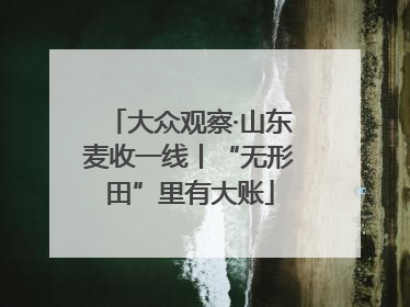 大众观察·山东麦收一线丨“无形田”里有大账
