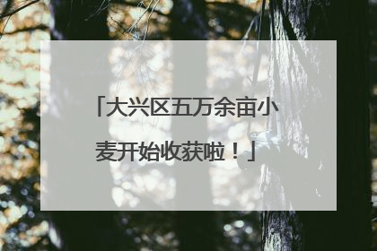 大兴区五万余亩小麦开始收获啦！