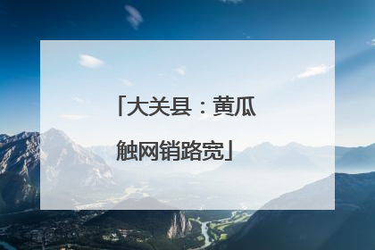 大关县：黄瓜触网销路宽