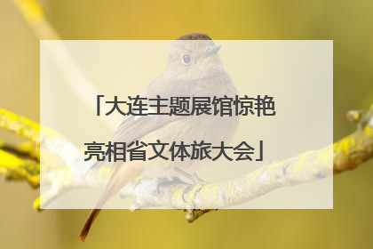 大连主题展馆惊艳亮相省文体旅大会