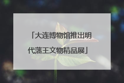 大连博物馆推出明代藩王文物精品展