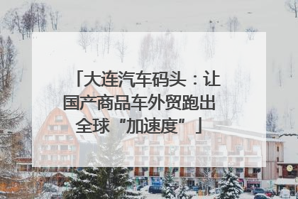 大连汽车码头：让国产商品车外贸跑出全球“加速度”