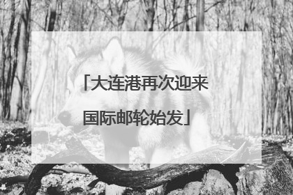 大连港再次迎来国际邮轮始发