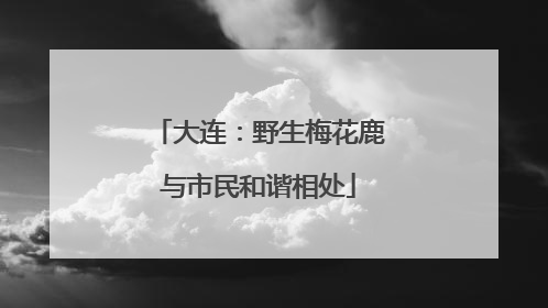 大连：野生梅花鹿与市民和谐相处