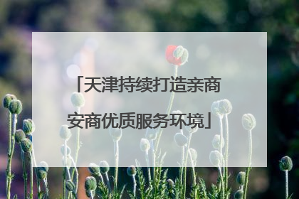 天津持续打造亲商安商优质服务环境