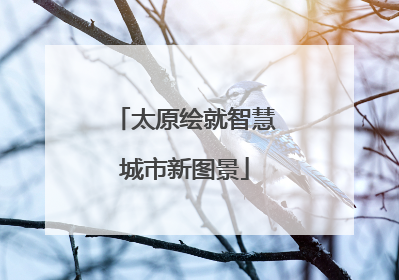 太原绘就智慧城市新图景