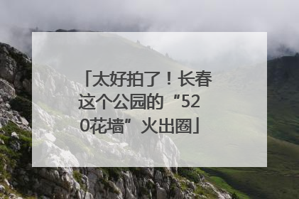 太好拍了！长春这个公园的“520花墙”火出圈
