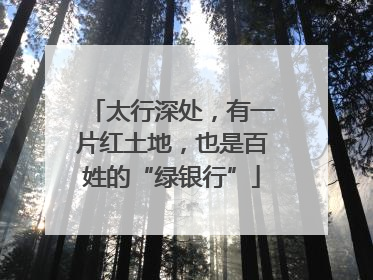 太行深处，有一片红土地，也是百姓的“绿银行”